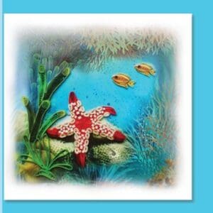 Starfish and fish in underwater scene