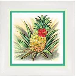 Vintage pineapple illustration with red flower