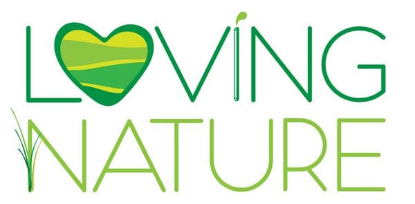 Nature-themed logo with heart