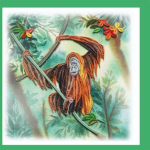 Orangutang AN-78